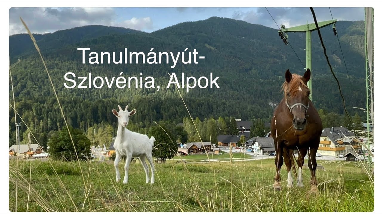 Háztáji állattartás és kiskert kultúra a szlovén Alpokban