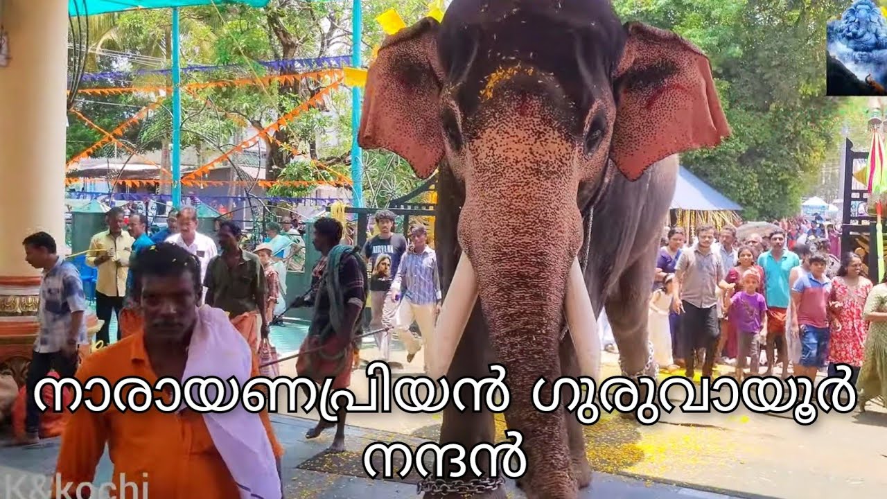 ഇടക്കൊച്ചി ജ്ഞാനോദയം സഭശ്രീ പരമേശ്വര കുമാരമംഗല ക്ഷേത്രത്തിൽ!!2025