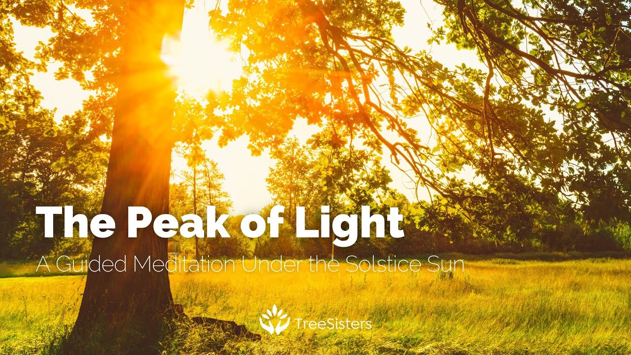 TreeSisters Summer Solstice Meditation 2025