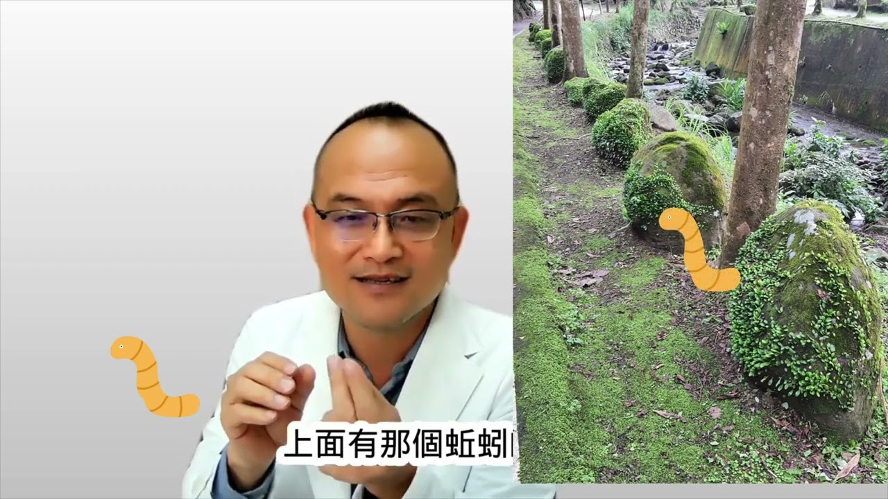 「赤腳踩草地10分鐘，大自然幫你充電！」接地 = 和大地連結好處：減壓、助眠、改善心情骨科權威阿宙醫師分享給您：接地氣，不用花錢，不用器材，只要脫鞋就行！阿宙9/17(三)7：30開講！全心體會！