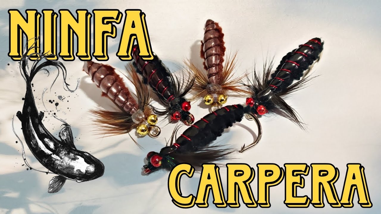 Ninfa para pescar Carpas!!!