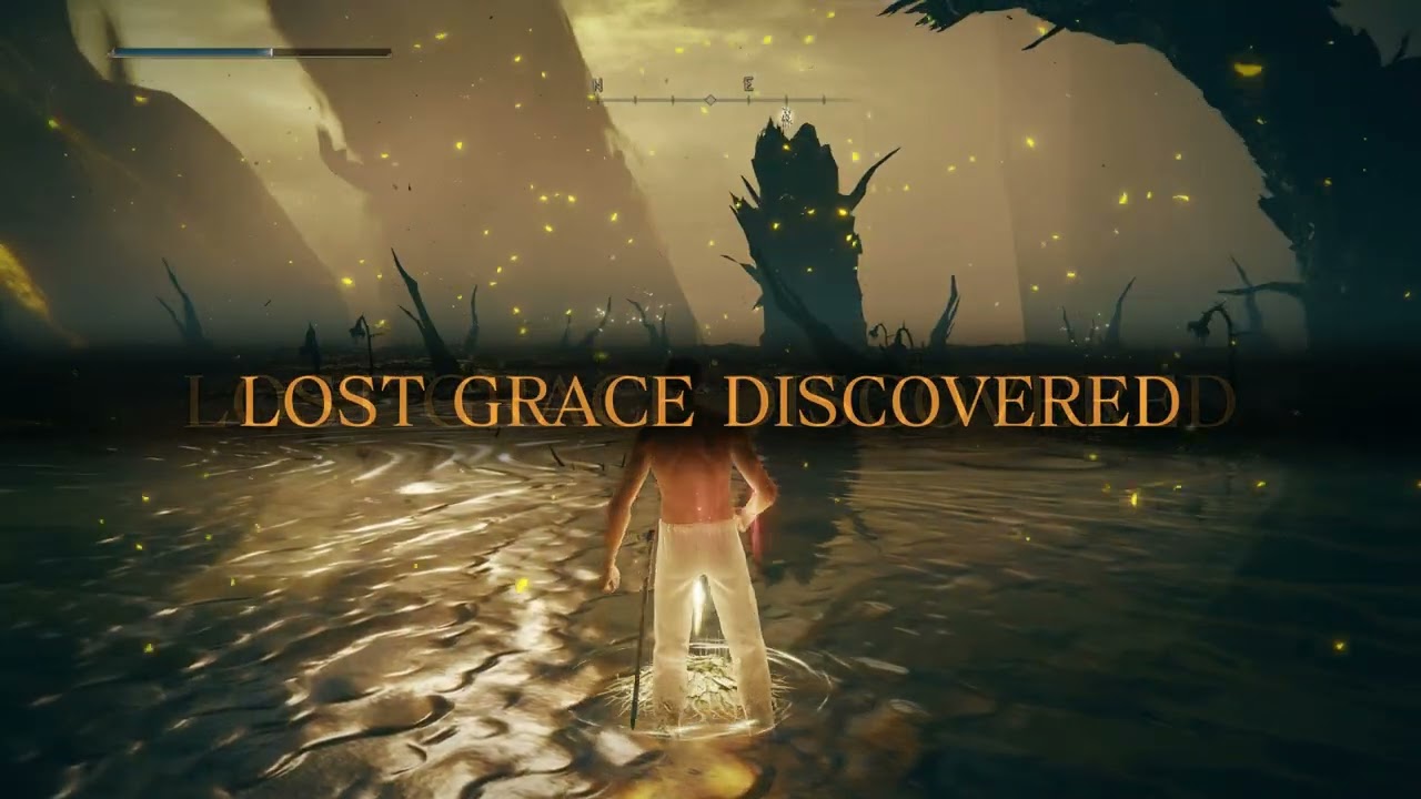 Elden Ring: Shadow of The Erdtree - All DLC Remembrance Boss Fight - No Damage