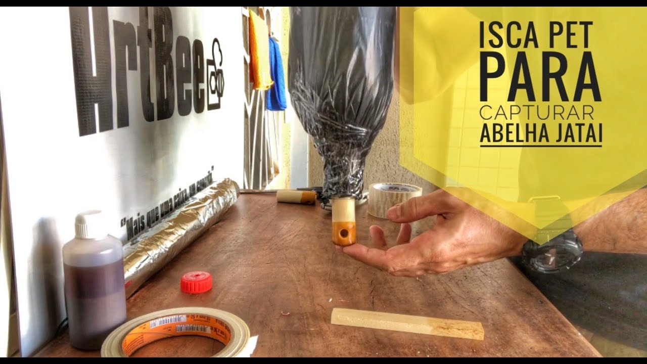 Veja o que faço com essa garrafa PET  | isca para CAPTURAR abelha JATAI | DICAS
