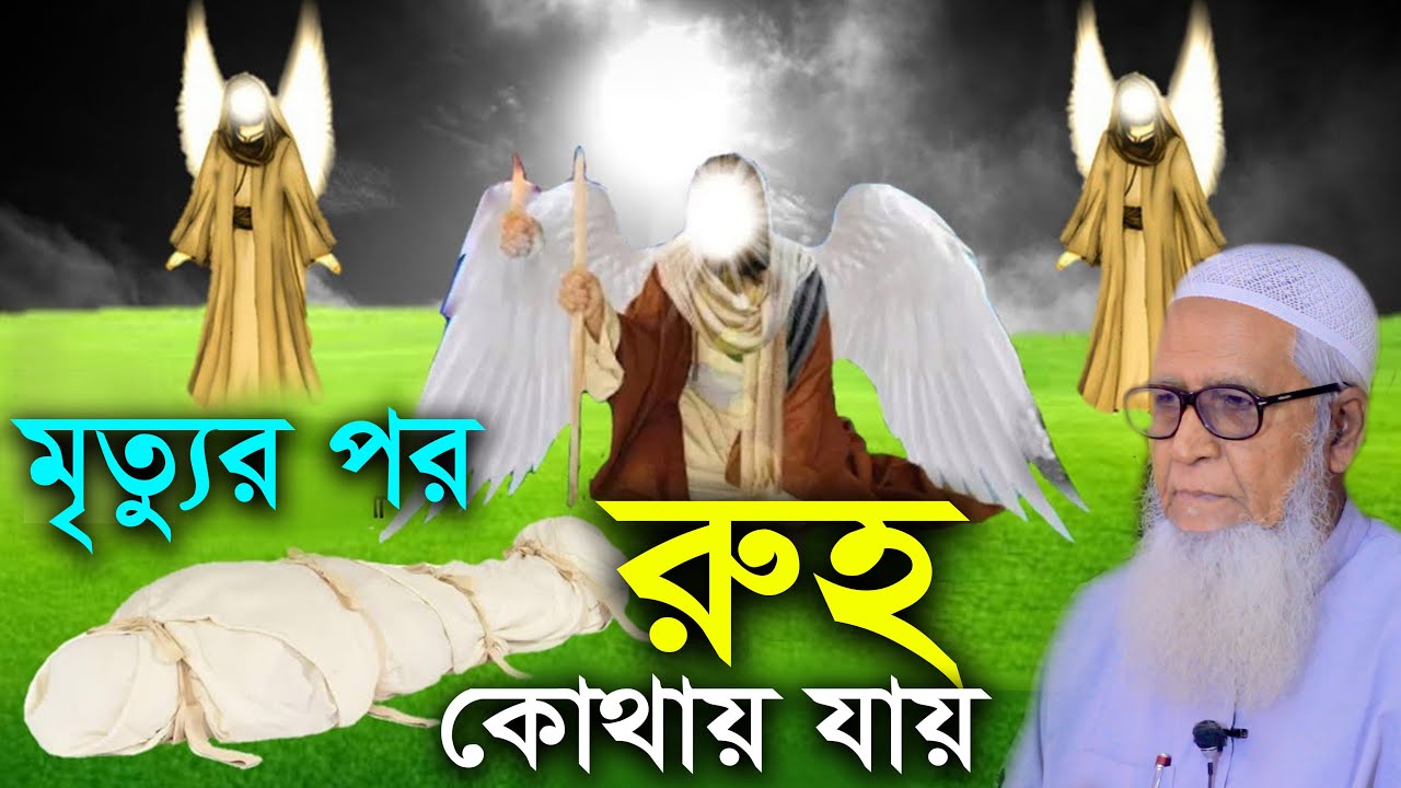 মৃত্যুর পর রুহ কোথায় যায় | আল্লামা লুৎফর রহমান | Allama Lutfur Rahman | New Waz Mahfil