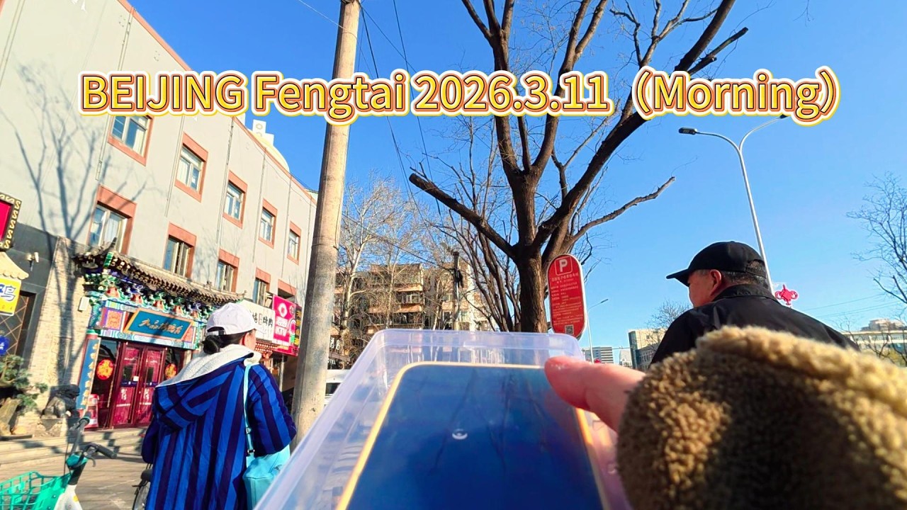 BEIJING Fengtai 2026.3.11（Morning）