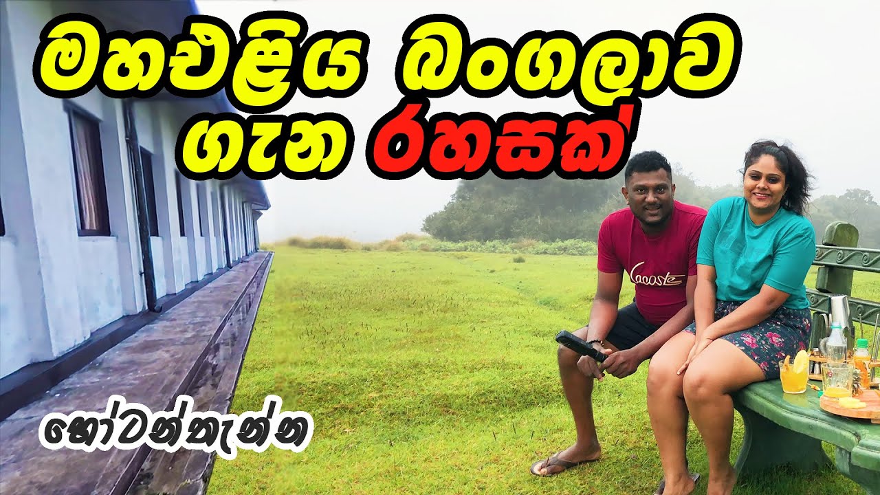 හැමෝම හංගපු දේ, The shocking side of Horton Plains, How to book a wildlife Bungalow Sri Lanka