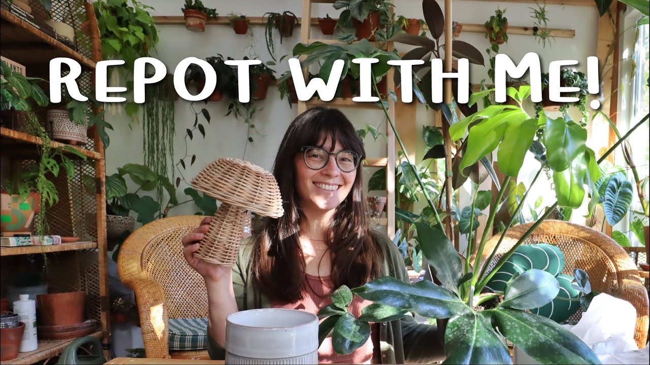 shopping for pottery + repotting a bunch of plants! | repot with me