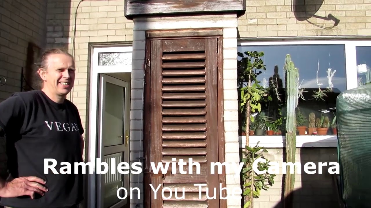 Overwintering Vlog -5 Moving GIANT Tall Cereus Cactus Plants inside for Winter on our Stairs.