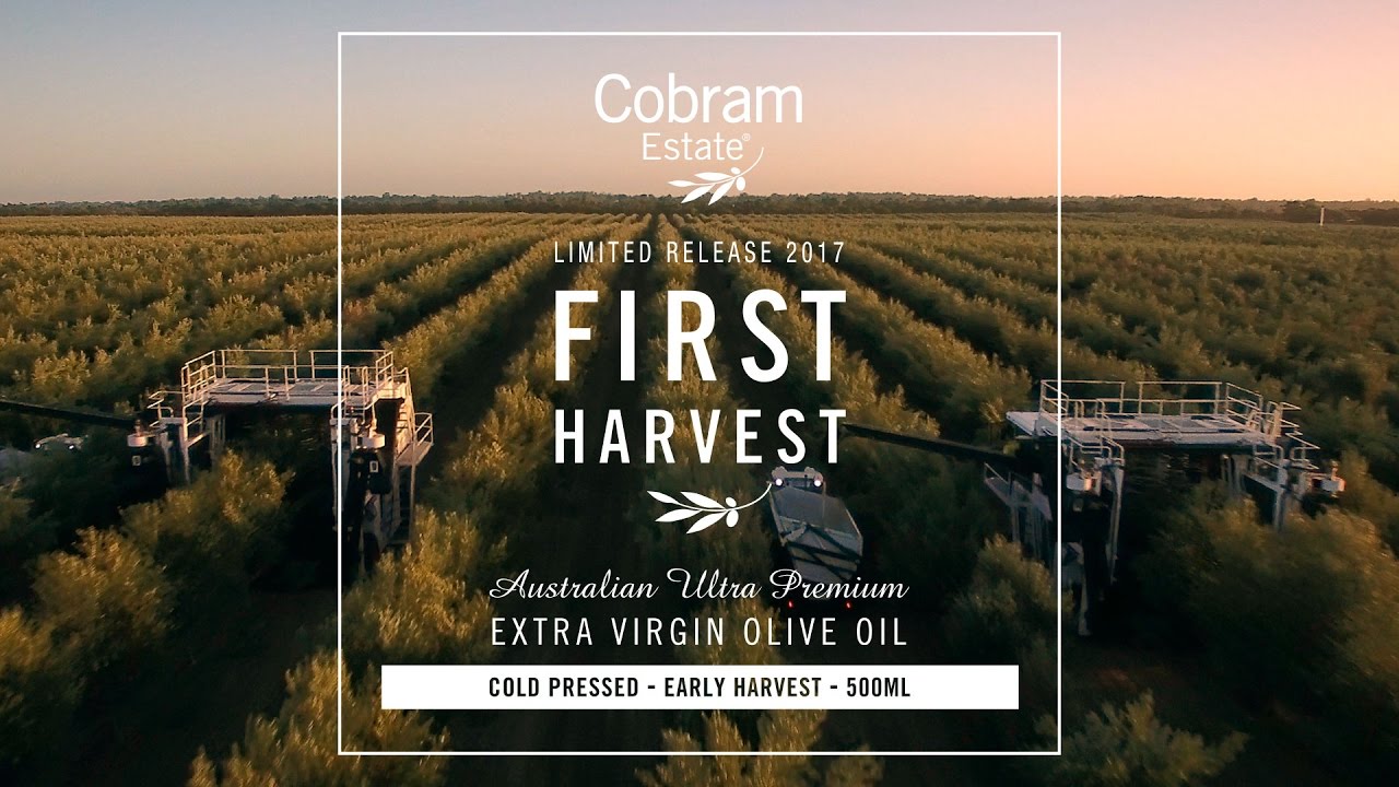 First Harvest - Cobram Estate