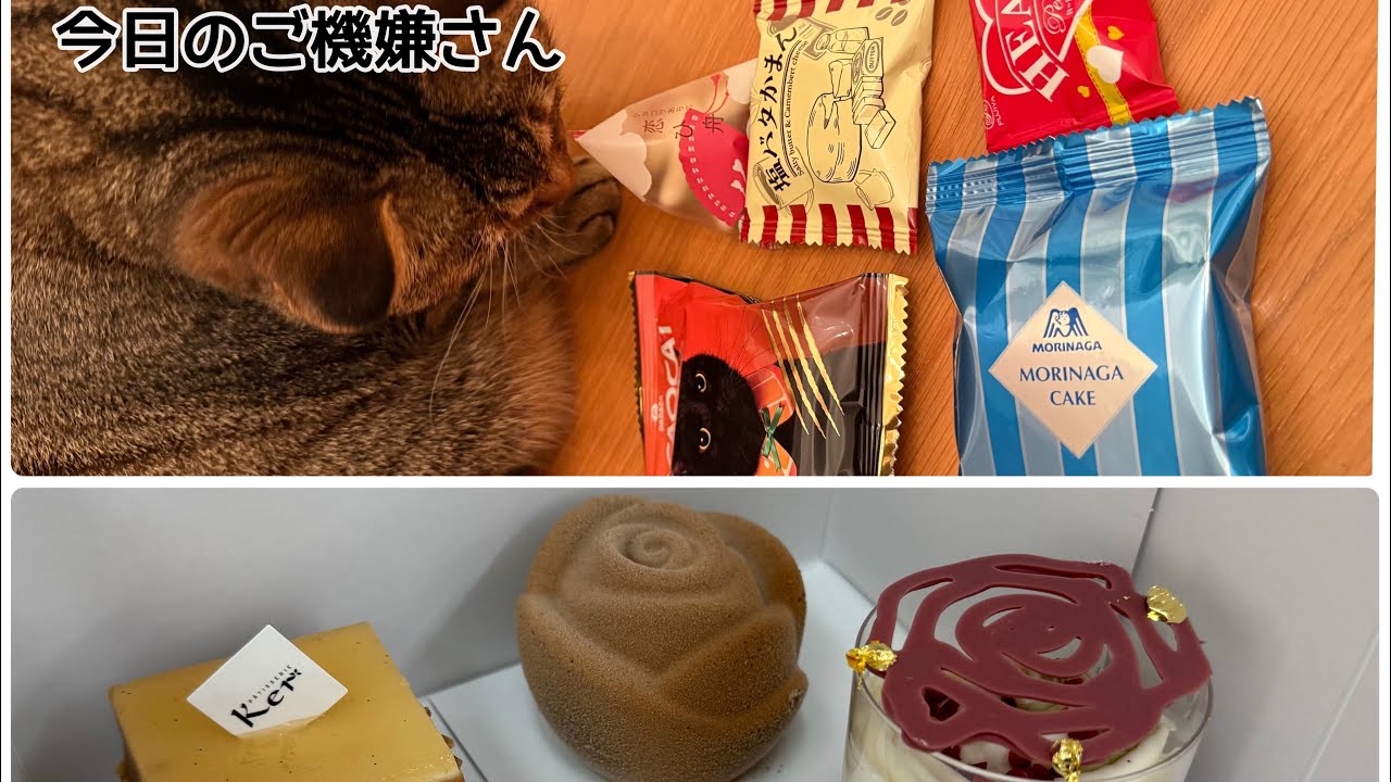 今日のご機嫌さん | バレンタインデー
