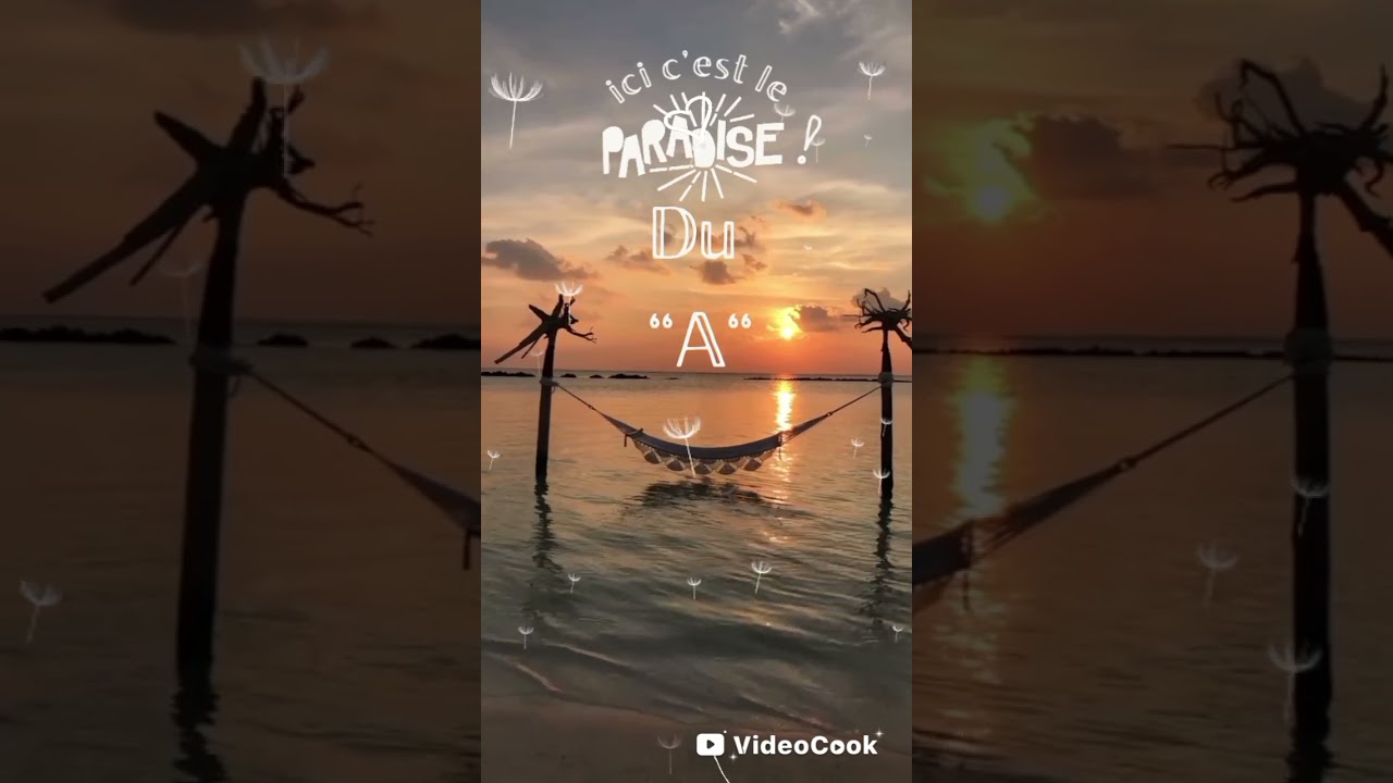 J'aime le 
