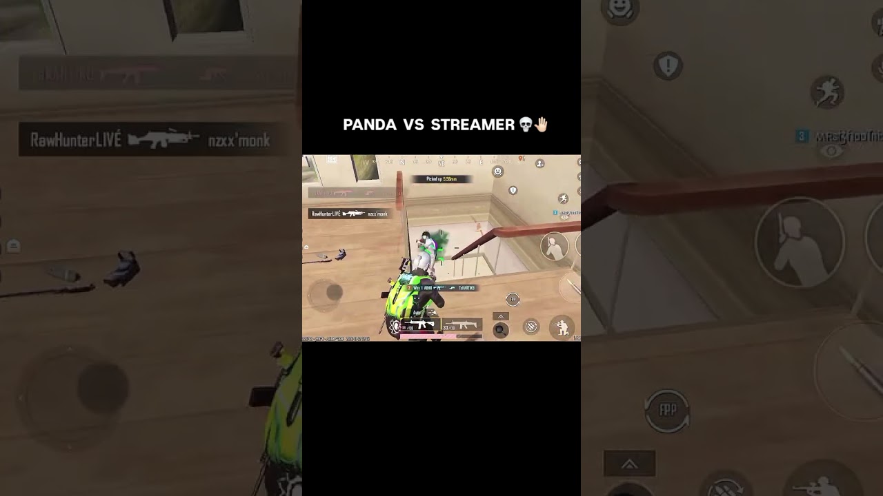 Panda 🐼 
