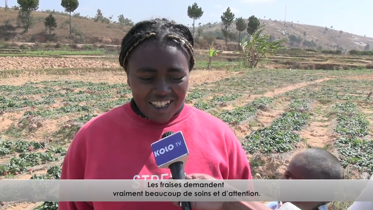 ALALINO Production Locale DU 02 NOVEMBRE 2025 BY KOLO TV