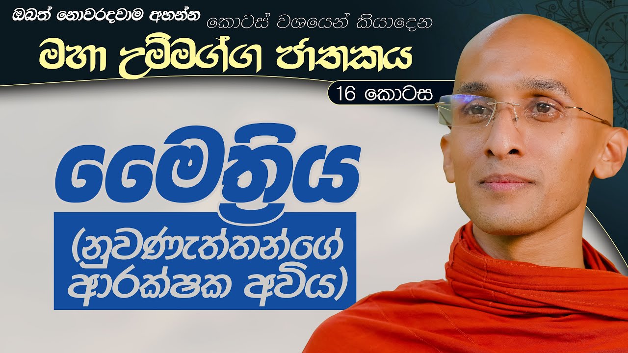406. නුවණැත්තන්ගේ අවිය මෛත්‍රිය යි! | මහා උම්මග්ග ජාතකය 16 | 2024.07.21