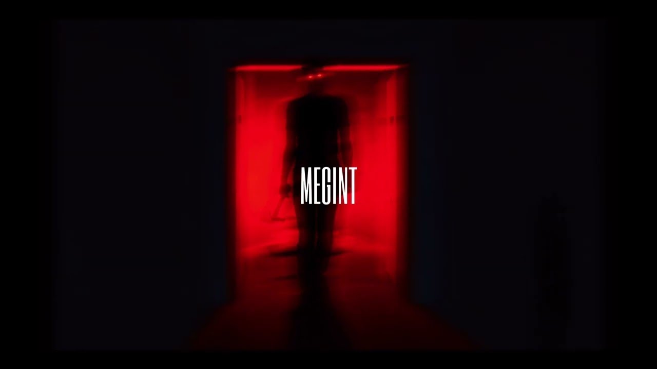 T. Danny - MEGINT (Official Visualizer)