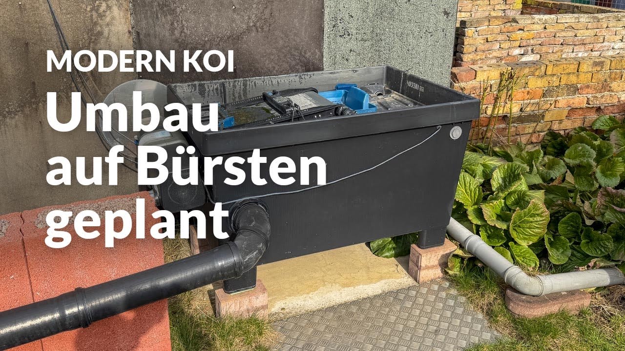 Mit Koi Zossen: Franks Oase Filter | Modern Koi Blog #7995