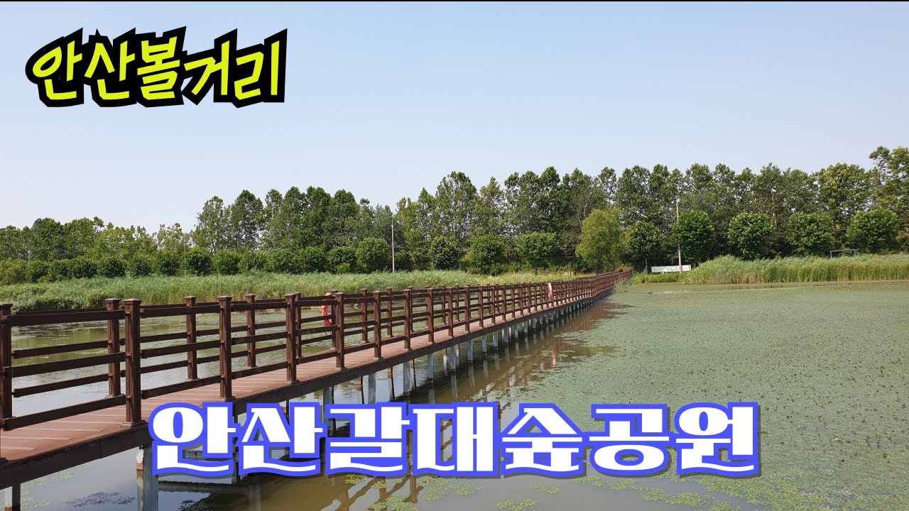 안산갈대습지공원(Ansan Reed Marsh Park), 안산자연생태공원, 안산가볼만한곳, 안산공원여행.