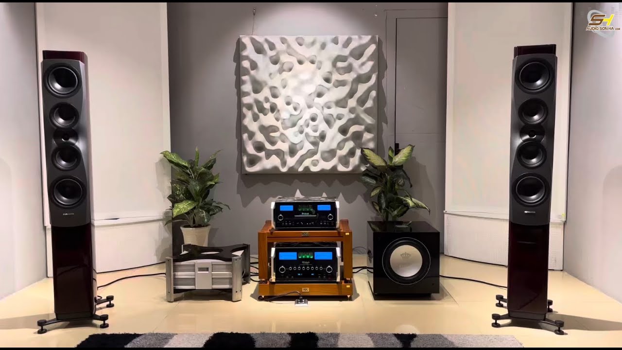 Loa Dynaudio Confidence 50 Ruby & McIntosh MA12000-AN / MCD12000