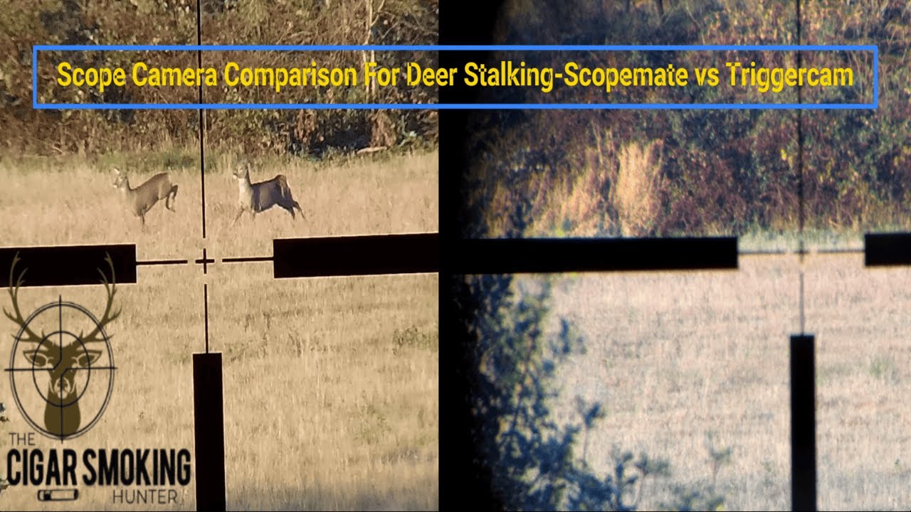 Сравнение камер для выслеживания оленей: Scopemate и Triggercam