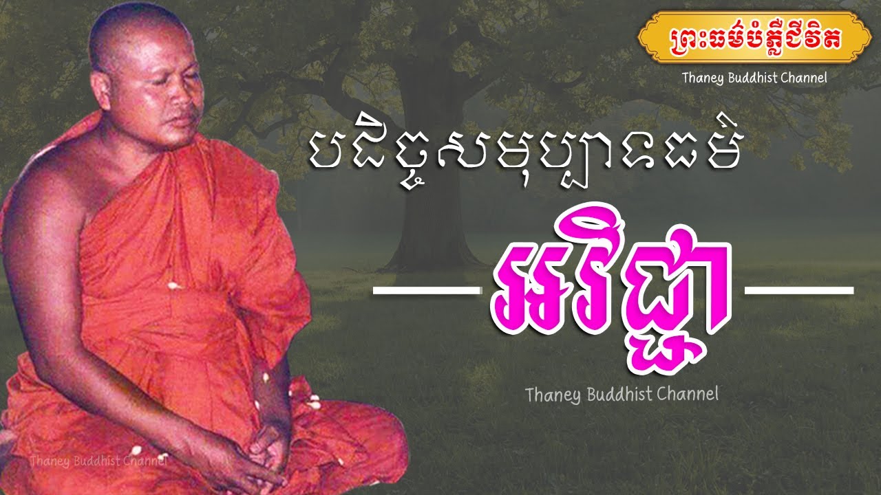 បដិច្ចសមុប្បាទធម៌ អវិជ្ជា |ព្រះធម្មវិបស្សនា សំ ប៊ុនធឿន កេតុធម្មោ |Thaney Buddhist Channel