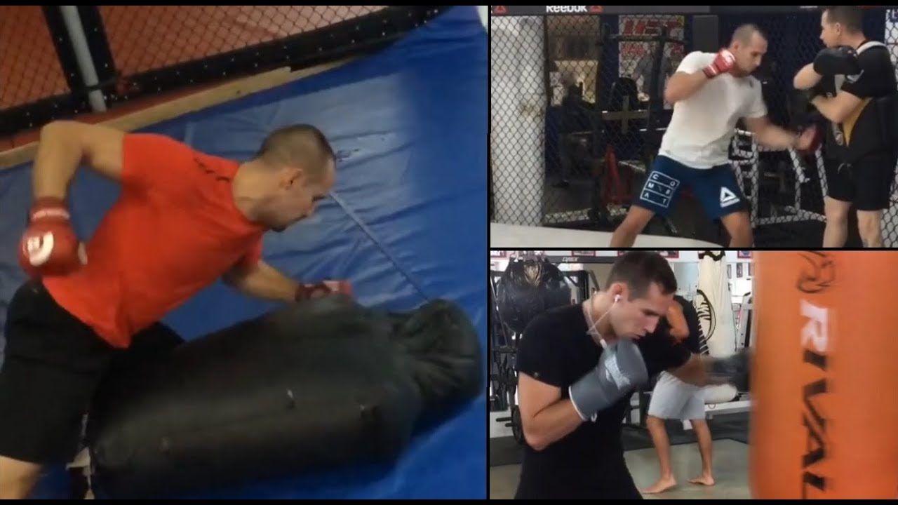Rory MacDonald ground and pound and mitts training | Training World