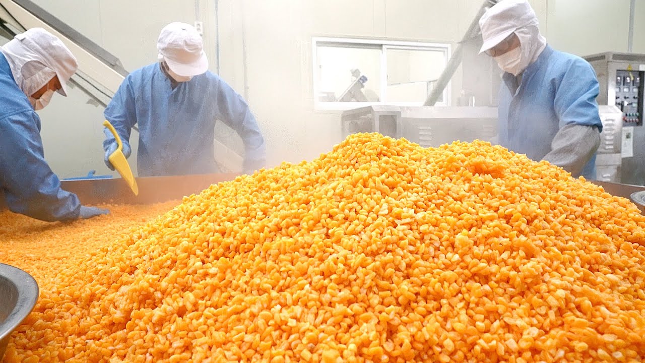 어린시절 먹던 논두렁 과자!? 하루 5,000봉지 만드는 옥수수과자 공장┃Fried Corn Snack, Korean street food