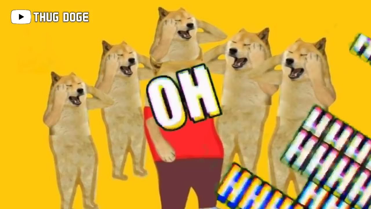 meri flight ki ticket hai kunti😂 (credit-thug doge) doge memes