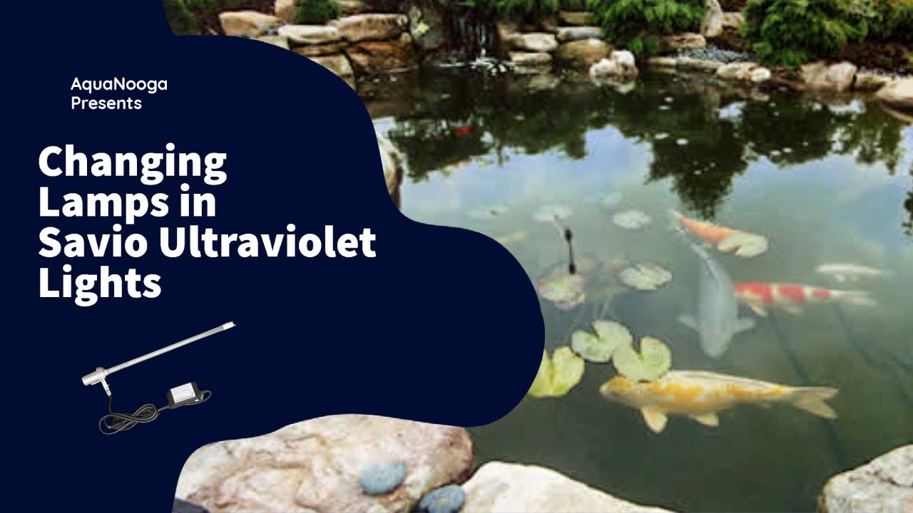 Changing the lamp on a Savio UVinex Pond Clarifier
