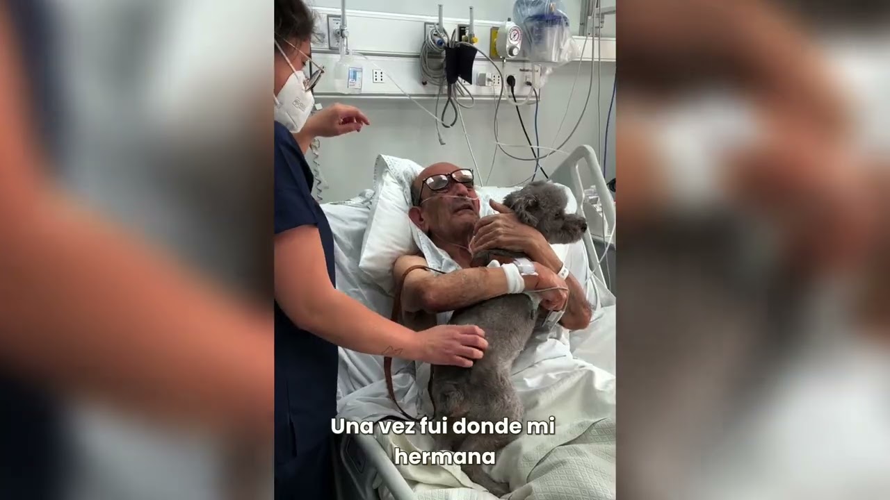 Vinculación con el Medio