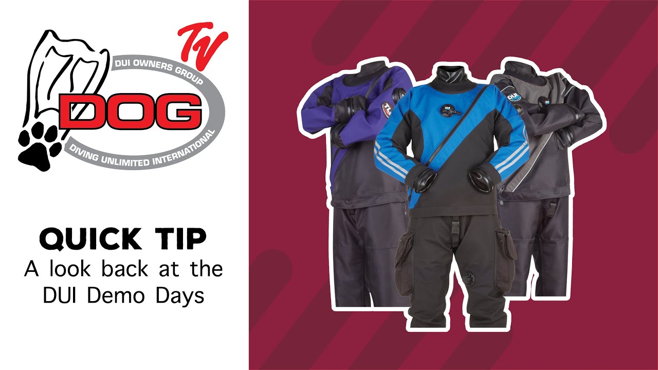 DUI Quick Tips - A look back at the DUI Demo Days