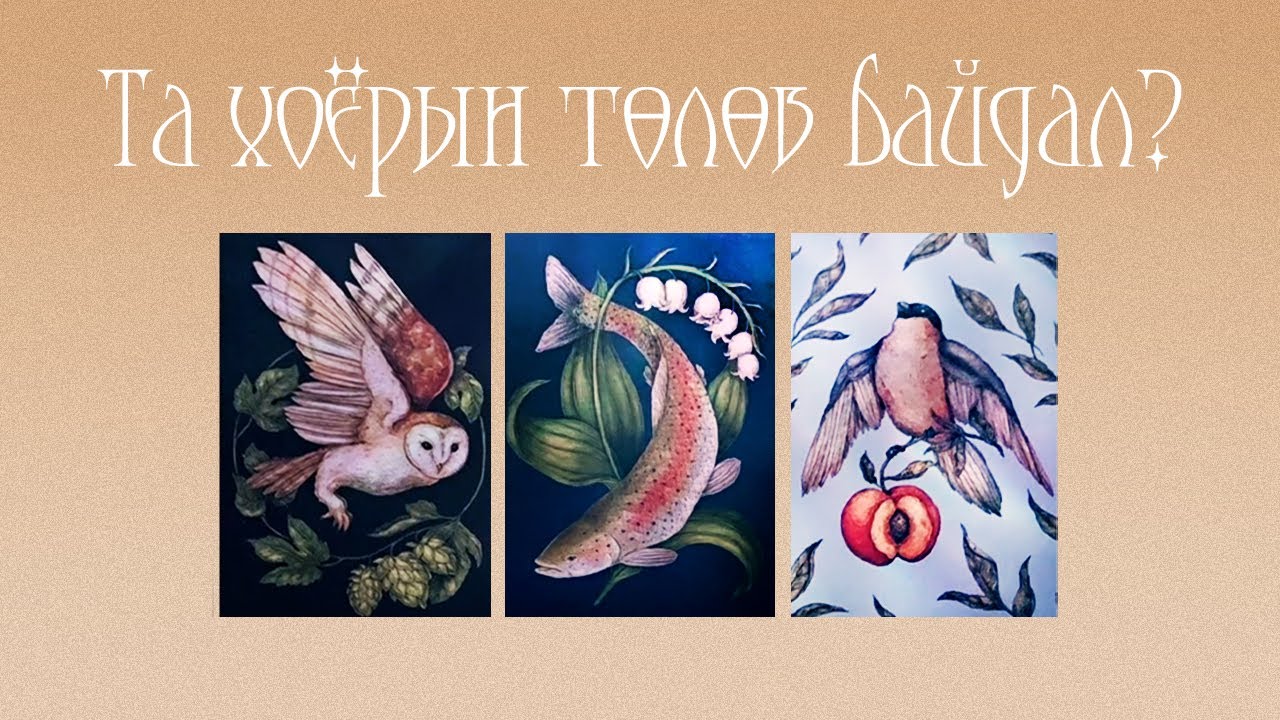 [Их Аркан] Энэ харилцааны төлөв? 💞🌦️🔥(Цаглашгүй + Э.Ш. + Нэмэлт)