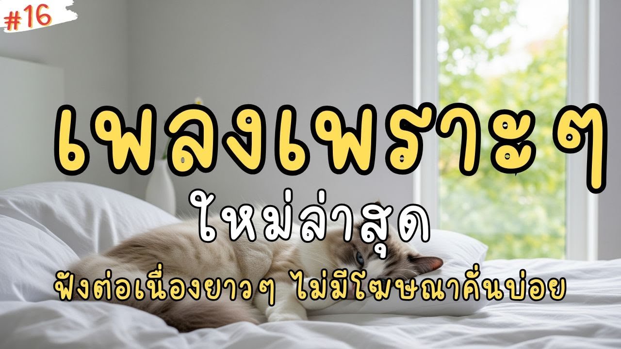 เพลงเพราะๆ ฟังสบาย 2026 | เพลงใหม่ล่าสุด ดังๆ ฟังยาวๆ แบบชิลๆต่อเนื่อง