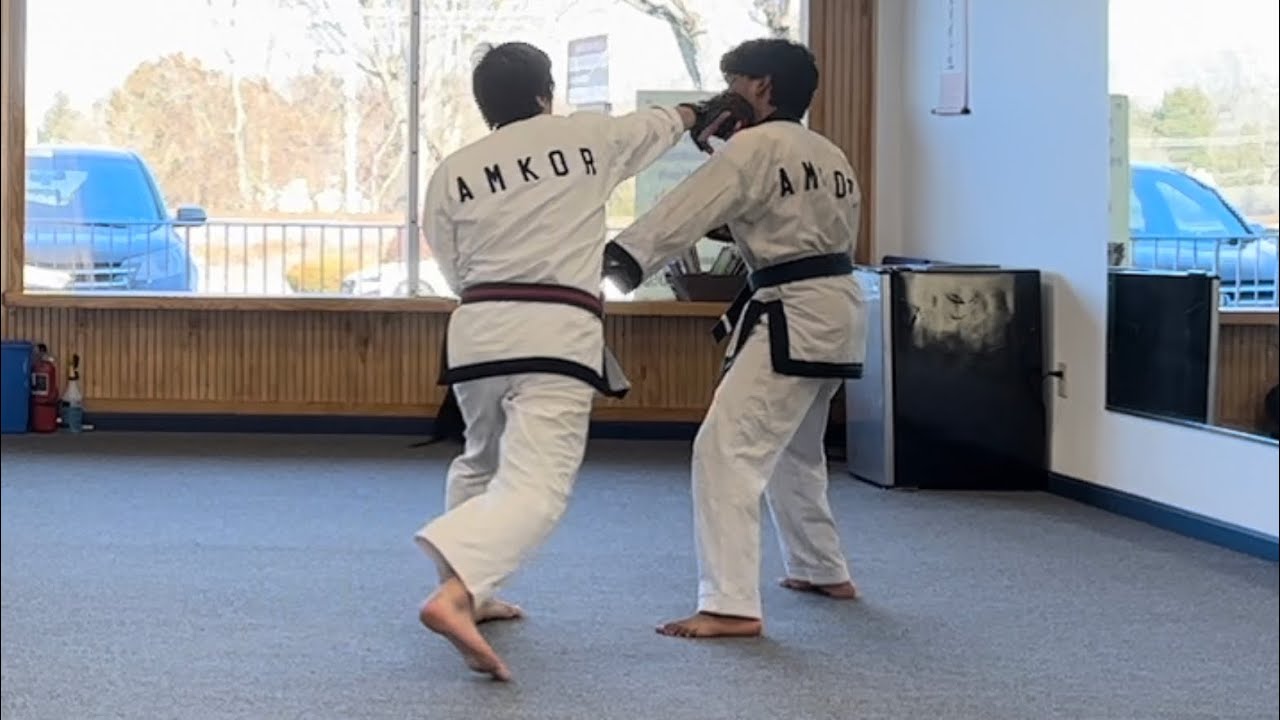 Modern Tang Soo Do - One-On-Training