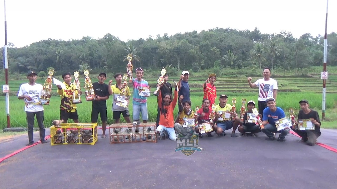 Lomba merpati kolongan Bharata Cup 3, Lapak KMC, Hadiah 15 Juta