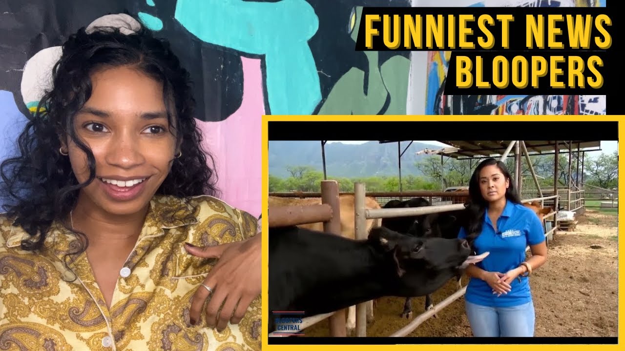 Funny TV News Bloopers | The comedy I needed today | reaction