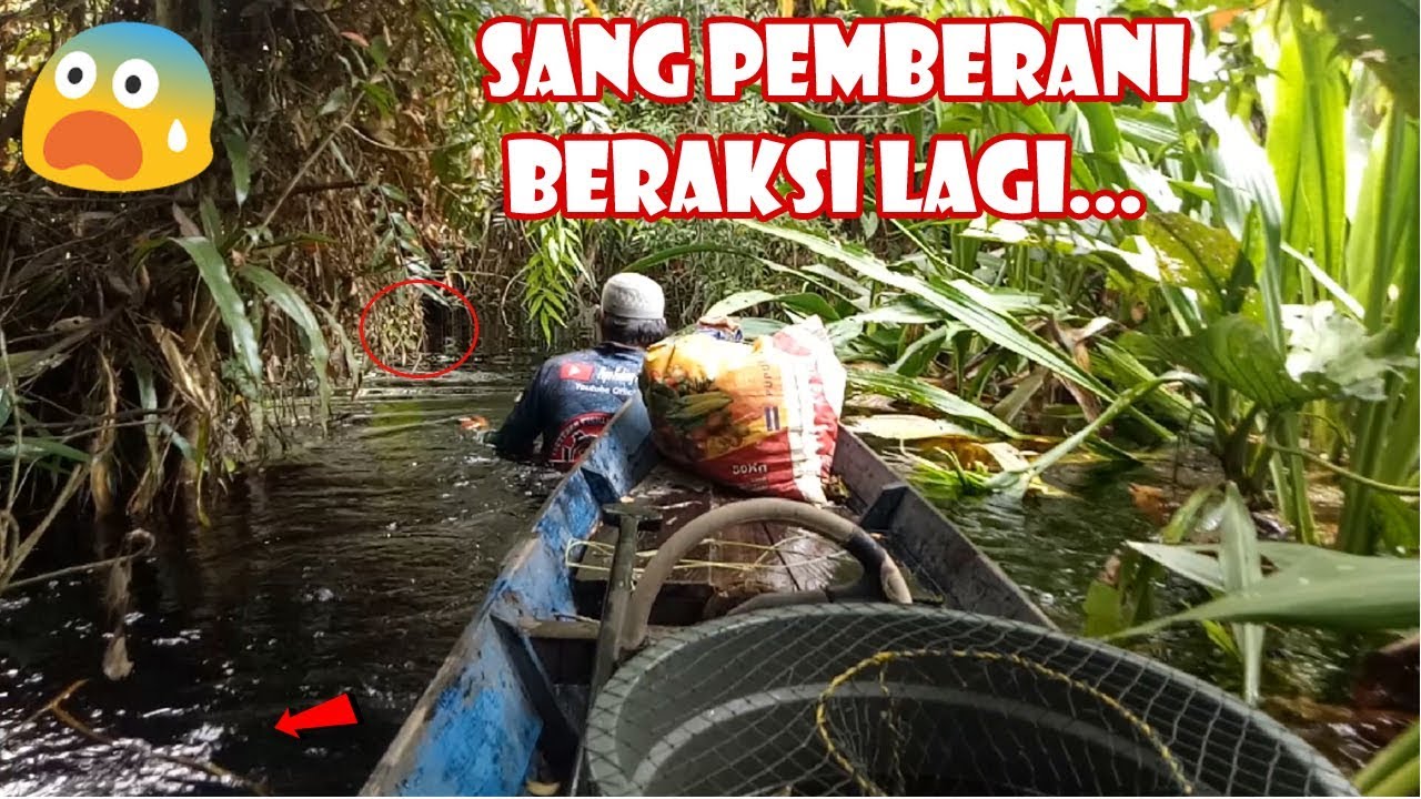 Kembali ke Spot Amazing Wakanda Kalimantan yg Horor namun Banyak Ikan#122