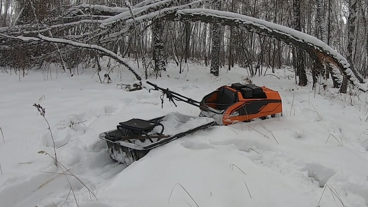Мотобуксировщик. Покатушки. Природа. Лес