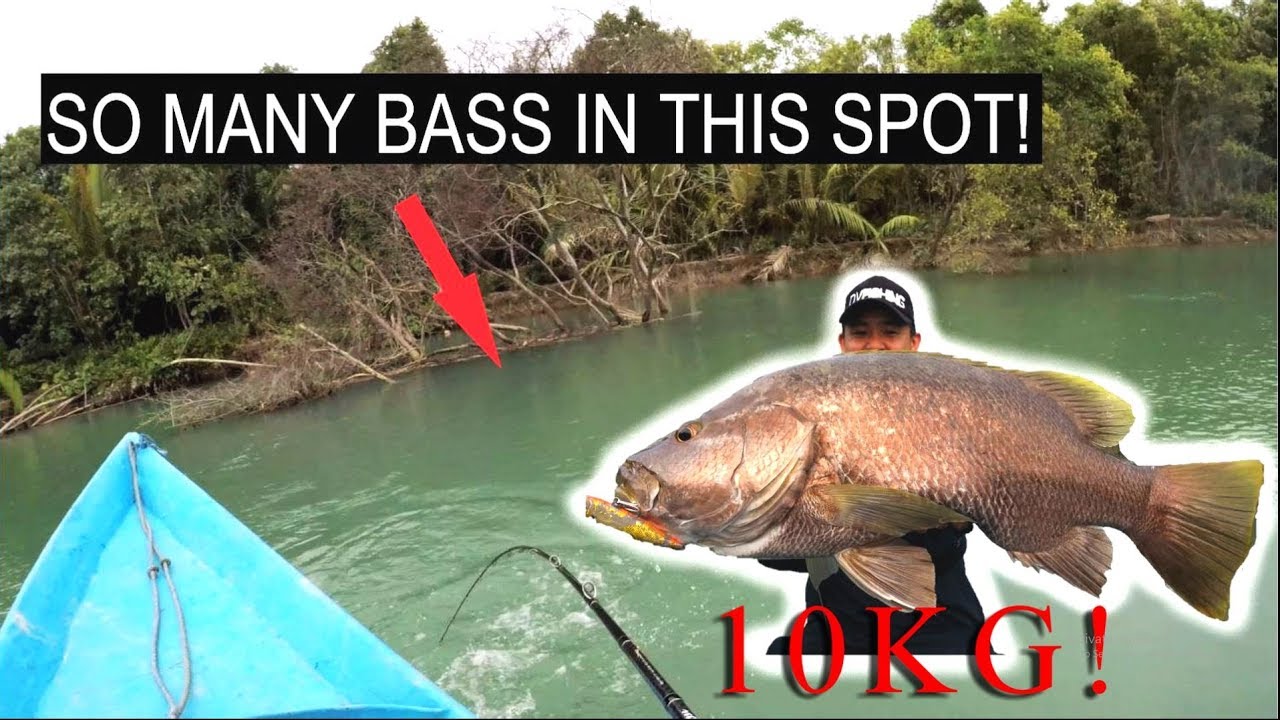 Black Bass Fishing (Final Part) | NON STOP ACTION!!
