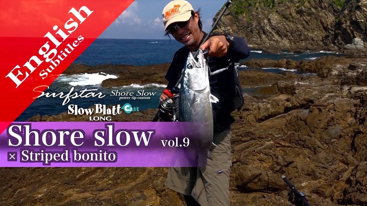 Shore slow vol.9 (Striped bonito)