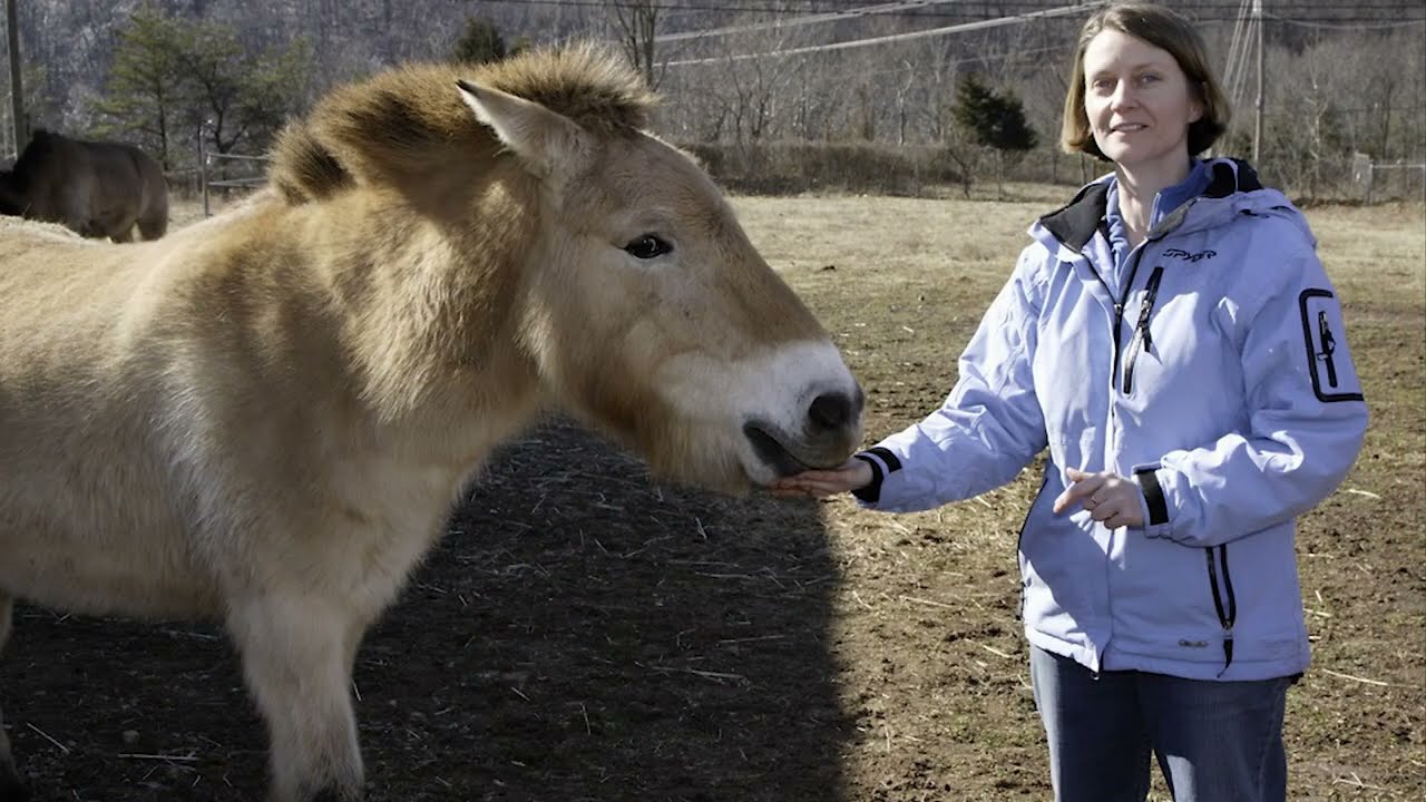 Women Creating Conservation: Melissa Songer