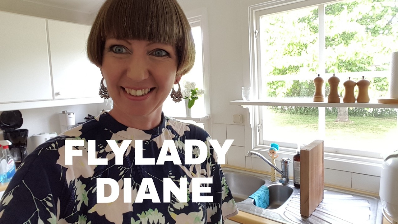 Flylady Zone 2, the kitchen (Working together, June 2017)