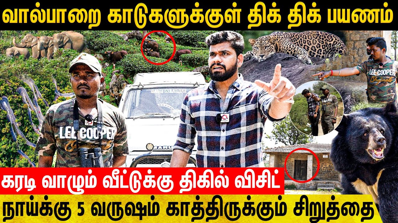 5 வருஷம் கூட சிறுத்தை Sketch போட்டு வேட்டையாடும் சார்😱 | Valparai Live Visit | Valparai wild Life