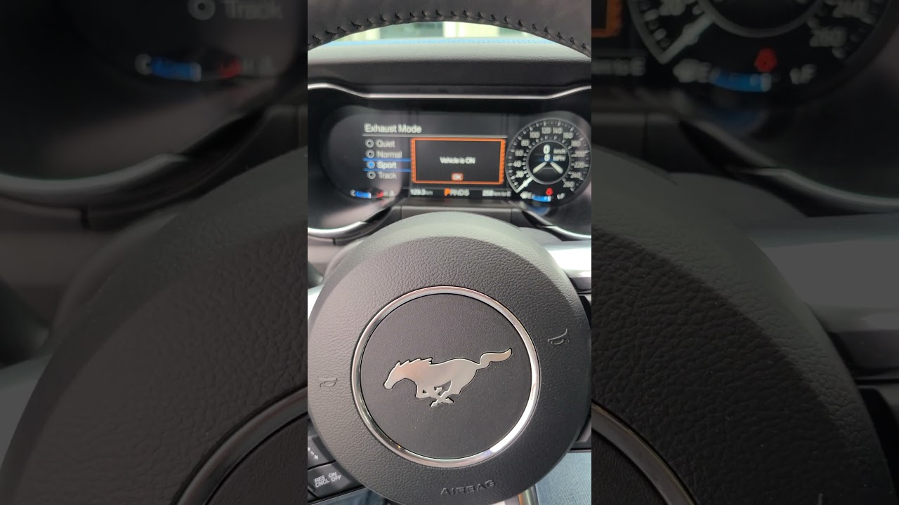 Ford Mustang Roar 🐎 #mustang #fordmustang #roar #enginesound #sportscar #ford