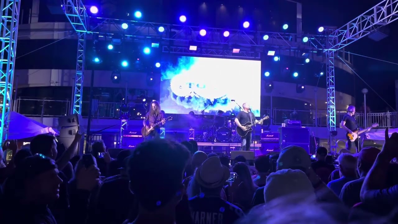 Tonic/If you could only see