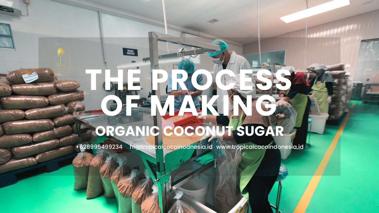 Tropical Coco Indonesia Organic Coconut Sugar Making