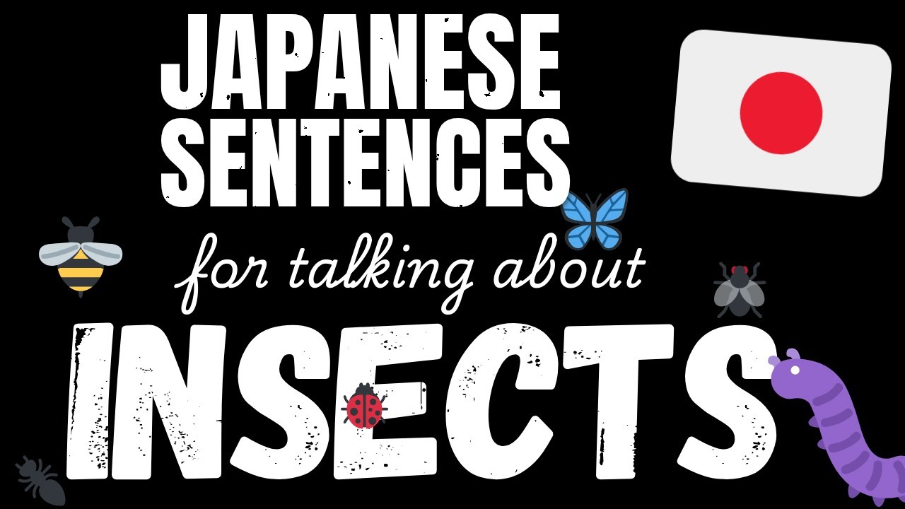 100 Easy Japanese sentences - Insects | Learn A1 Japanese vocabulary