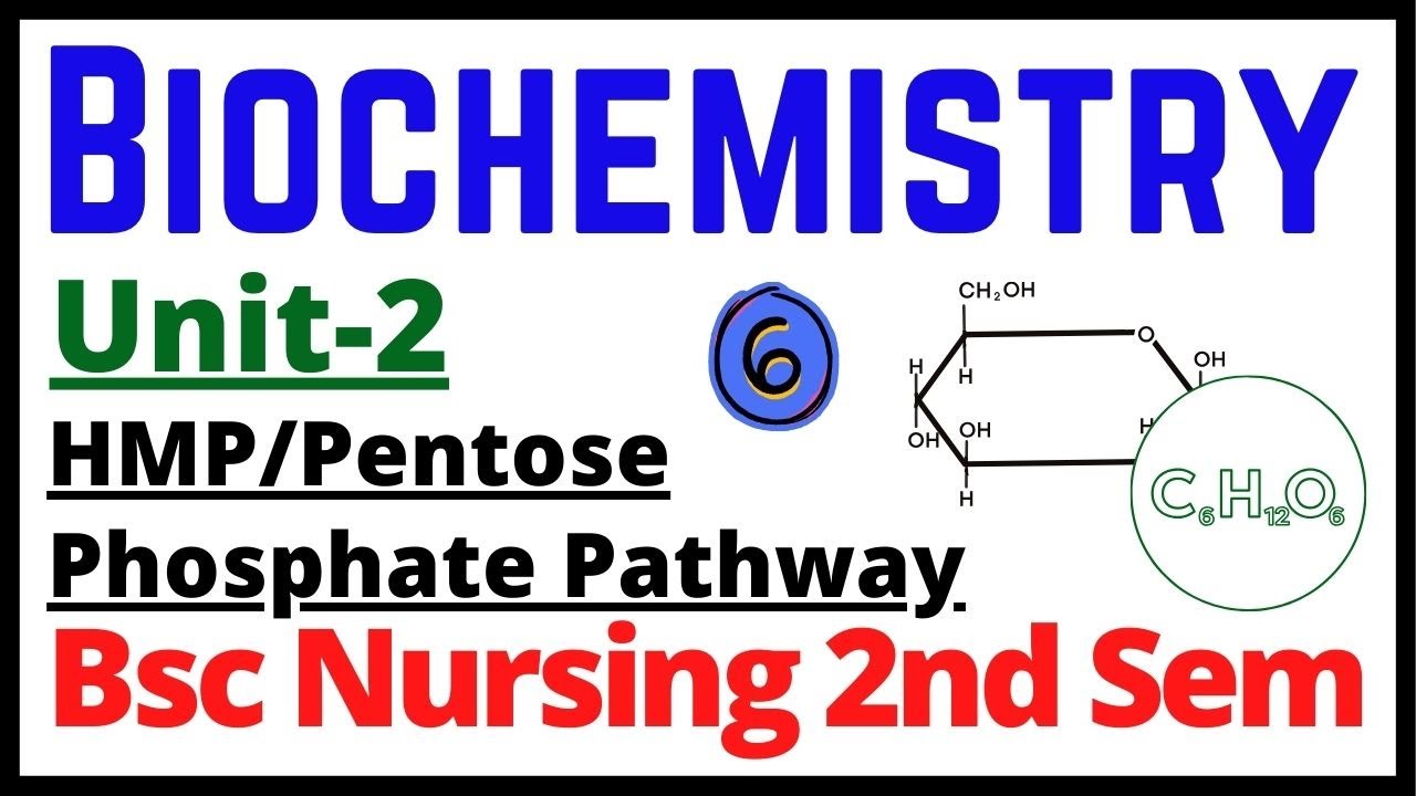 Pentose Phosphate Pathway | Hexose Monophosphate Shunt | Carbohydrates Metabolism #nursingkit