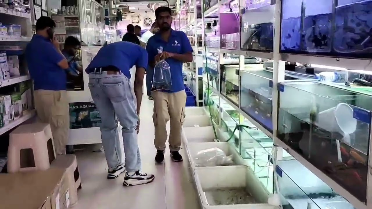 AJMAN AQUARIUM / DUBAI AQUARIUM / FISH AQUARIUM FOR SALE / WEIRD AND DIFFERENT FISHES FOR SALE 