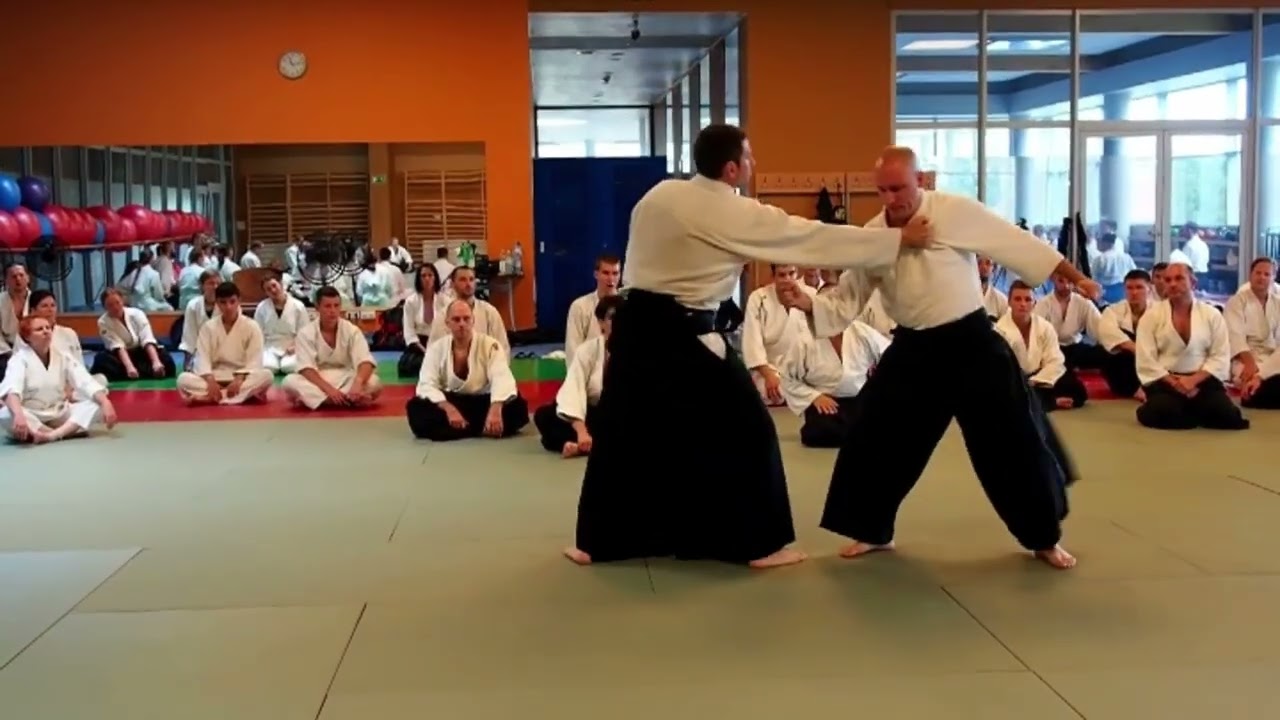 2016 Kata tori techniques 
