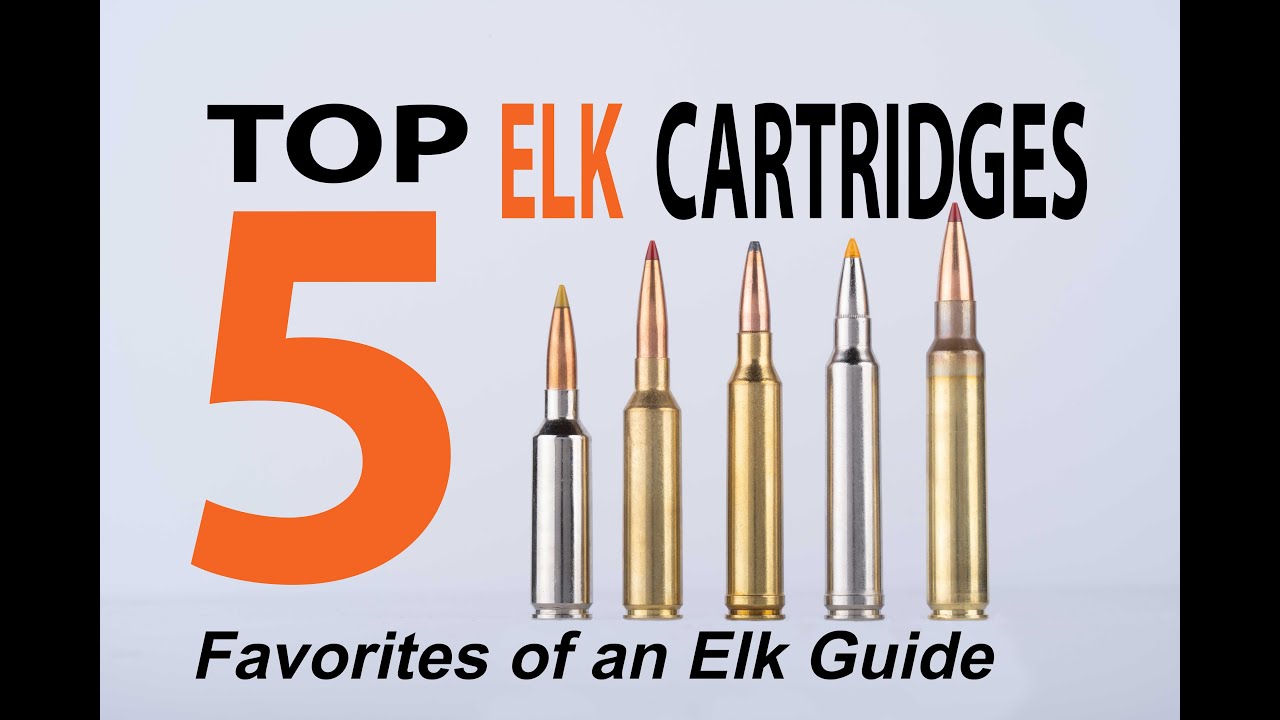 Top 5 Elk Cartridges: Choices of a Professional Guide